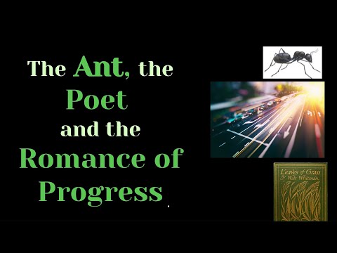  The Ant, the Poet and the Romance of Progress