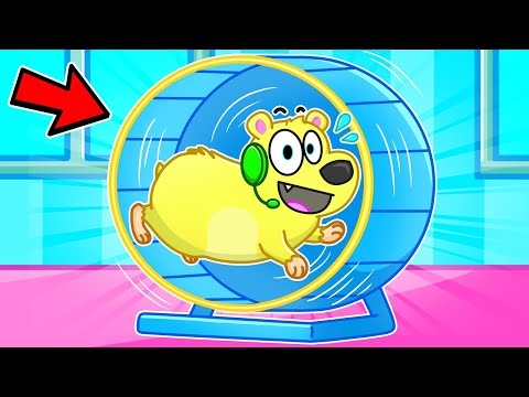 WE TURNED INTO HAMSTERS!