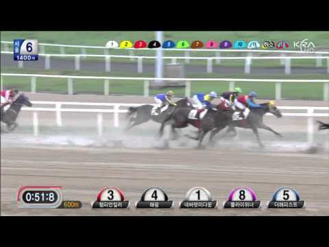 Champion Color - July 14, 2013