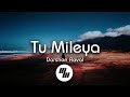 Lyrical Tu Mileya Darshan Raval Indie Music Label 21 Wave Music