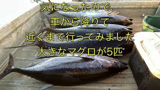 今日の久米島(0:45)