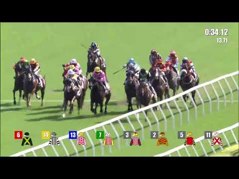 緊張大師21/09/05……(006)第六塲四班1000米