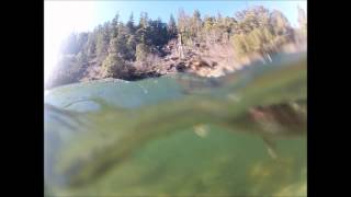 preview picture of video 'NorCal Steelhead Fishing'