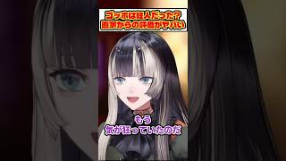 ゴッホは狂人だった！？パリ時代の画家からの評価がエグすぎるw【 儒烏風亭らでん ホロライブ ReGLOSS 切り抜き 】