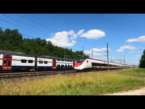 Trainspotting in der Schweiz, Viel Verkehr bei Rupperswil am 10.Juli 2025, Teil 2 von 2