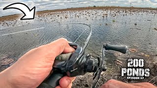 I Fished A Pond TOTALLY FULL Of Grass! ("200 Ponds" Ep. 37)