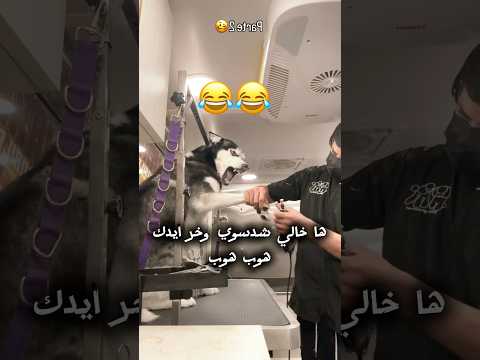 ها خالي وخر ايدك شدسوي هوب هوب 😂