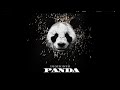 Desiigner Panda Audio