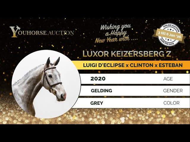 Luxor Keizersberg Z
