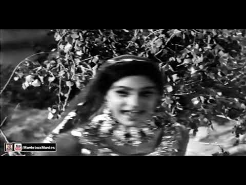 CHAN BADLI DE OHLE A NI GAYA - MALA & ZAHIDA SULTANA - PAKISTANI FILM PATOLA
