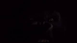 Third Time’s The Charm