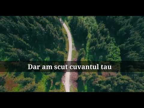 Beni și Marian din Barbulesti - Din cuvântul tău