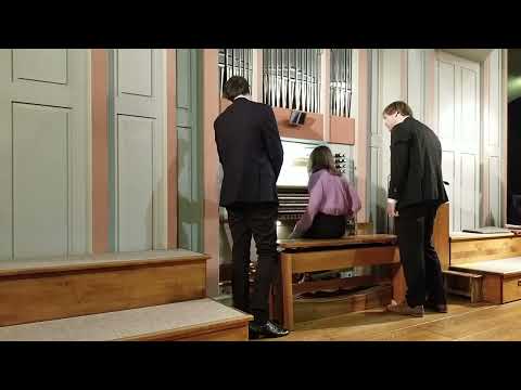 Gebrochene Flügel - Tilo Medek