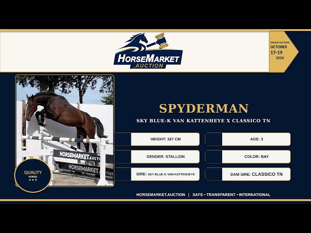 Spyderman