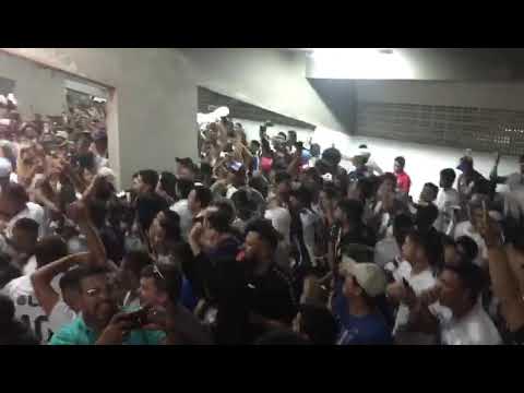 Galo treze da paraiba