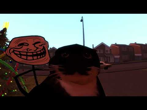 Cat Meows into door camera but Maxwell