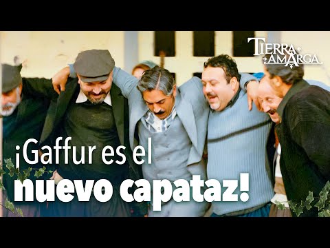 ¡El nuevo capataz, Gaffur!🎉- Capitulo 386