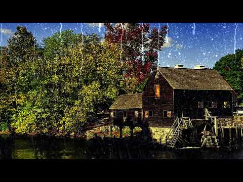 Sueño Instantáneo en 11 minutos 🌧 Sonido de Lluvia Relajante en Techo en Bosque Brumoso para Dormir