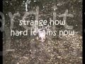 Rain - Patty Griffin - Lyrics