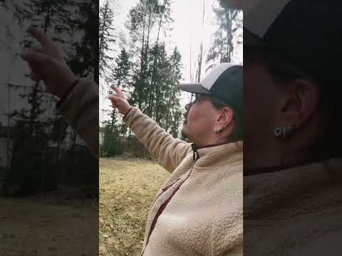 Thumbnail for Morjensta pitkästeperjantai päivää