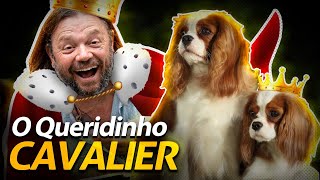 Miniatura do vídeo