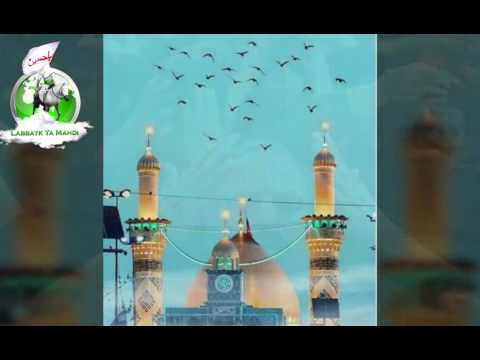 Seyyid Sadık El Musevi - Ey İmamı Zaman Gel Amandi (Yeni) سيد صادق الموسوي