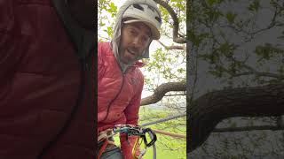 Abseiling / Rappelling in Guide Mode?! #rockclimbing