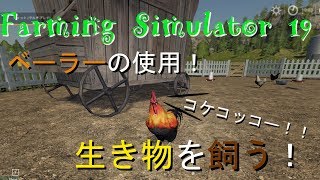 ニワトリさん　Farming Simulator19