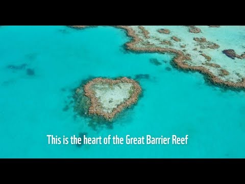 An Inconvenient Sequel: Truth to Power (Clip 'WWF Heart of the Reef')