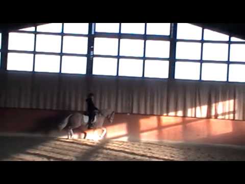 Baloo (by Hilkens Black Delight)