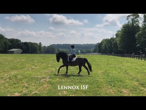 Lennox ISF in the fields of Pennsylvania, June 2020  SOLD