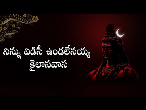 నిన్ను విడిచి ఉండలేనయ్య కైలాసవాస || Ninnu Vidichi Undalenayya Kilasavasa | Lord Shiva Song Telugu