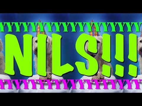 HAPPY BIRTHDAY NILS! - EPIC Happy Birthday Song