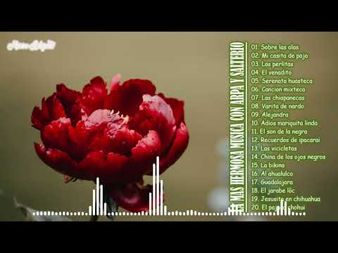 LA MAS HERMOSA MUSICA CON ARPA Y SALTERIO PURA MUSICA INSTRUMENTAL DE MEXICO