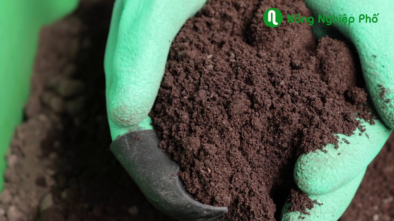 Phân trùn quế cao cấp Sfarm đã qua xử lý - Chuyên bón cho rau sạch, kiểng lá và hoa hồng