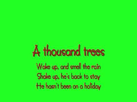 A Thousand Trees - Stereophonics Lyrics