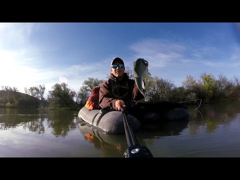 GoPro: Courtney Tyree - Best Catch 5.27.15 - Fish