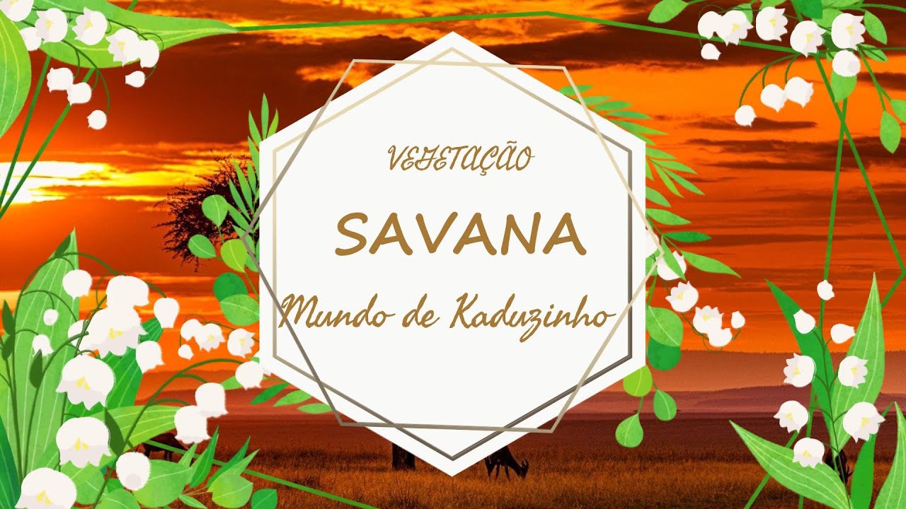 TIPOS DE VEGETAÇÃO: SAVANA