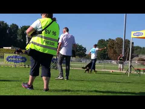 #BSZS2023 Bazooka did casa celta