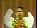 Sesame Street Butterfly Pageant