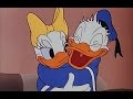 Donald Duck And Daisy Cartoon Cured Duck