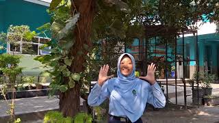 Lingkungan sekitar madrasah MASANSA