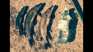 Рыбалка в хворостянке самарская область