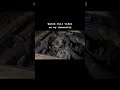 Ayesha Villa Lonavla Ayeshavilla Rollsroyce Horror Realghost Huntedvilla Hauntedrollsroyce