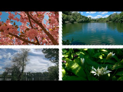 Green Poltava. Part I