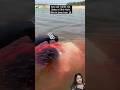 Jai Shiv Shankar Serial Mahadev Shorts Whatsapp Status Video Trending Viral Song Shilpilove