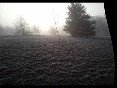 NashiihsaN - Generic