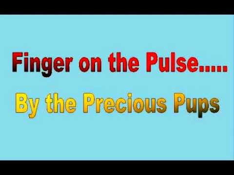 The Precious Pups - finger on the pulse