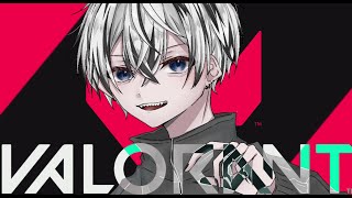 [VALORANT]コンペあと3日