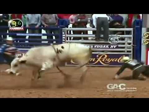 Unicorn bucks Douglas Duncan - 08 CBR Finals